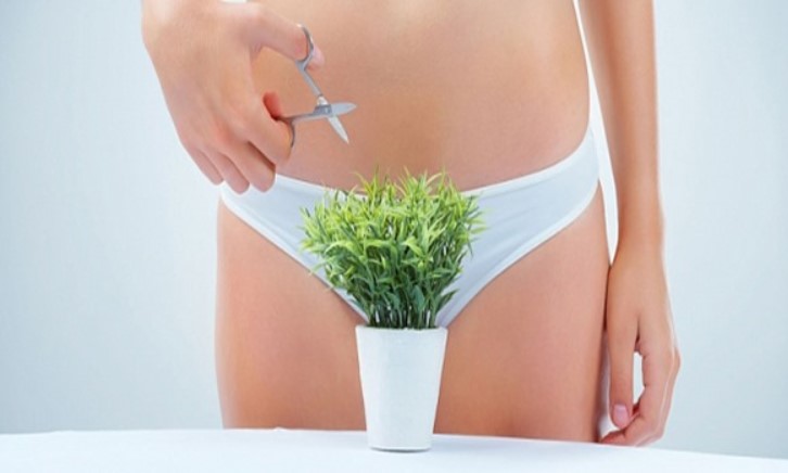 Triệt lông Bikini hàn băng